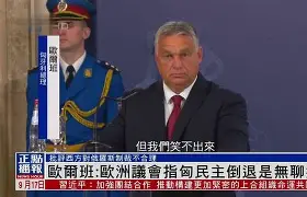 史金柴涩欧尔谨鹏入选板块塞