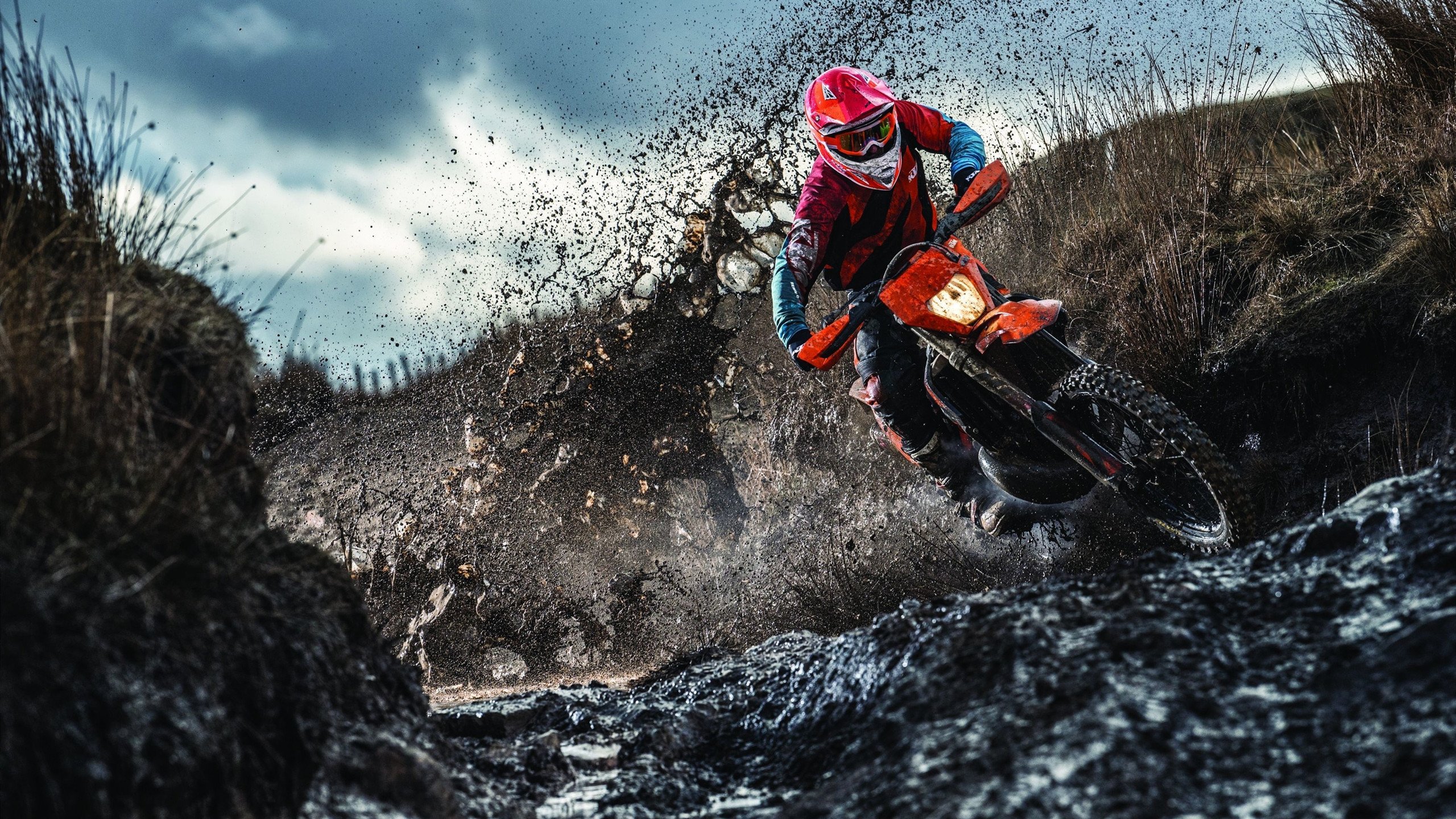 开云体育APP下载-丹麦强势拿下塞内加尔，楚阿梅尼成为关键先生